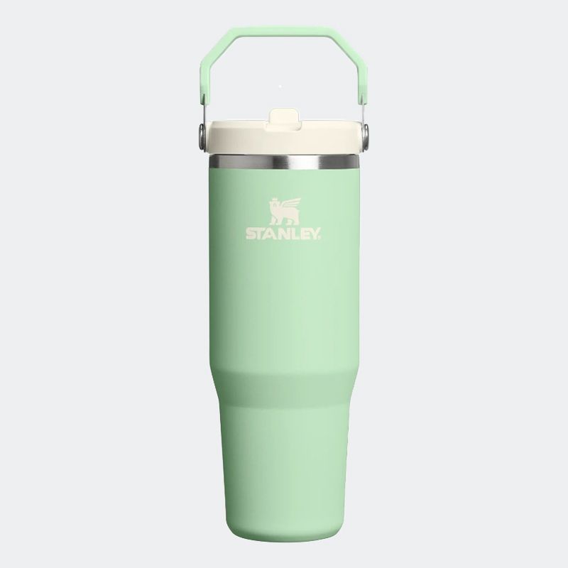 Ice Flow Go 890Ml/30Oz Flip Straw Pistachio
