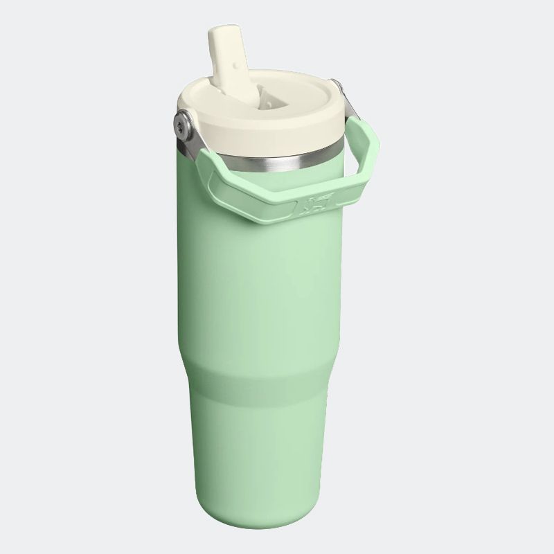 Ice Flow Go 890Ml/30Oz Flip Straw Pistachio