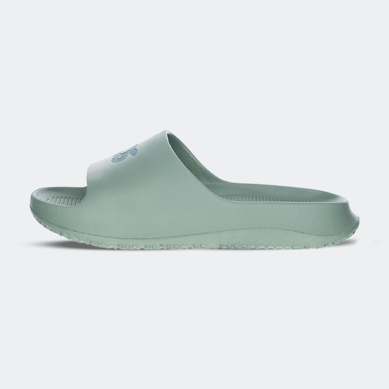 DS Slides for Adults