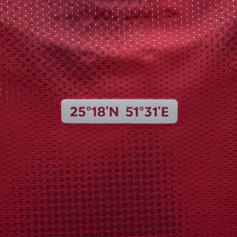 DS Jersey for Kids