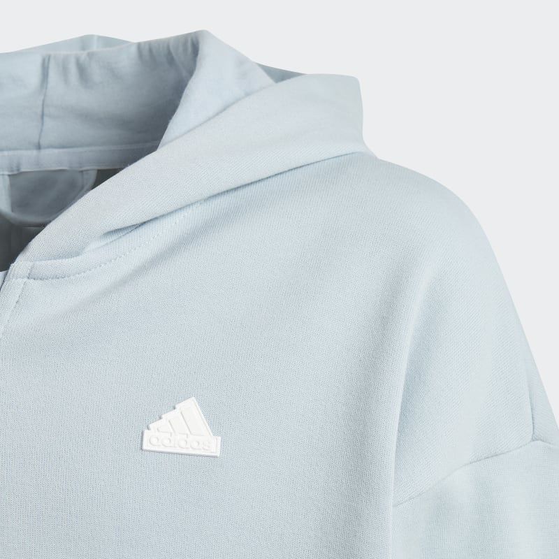Adidas Future Icons 3-Stripes Full-Zip Hoodie for Kids